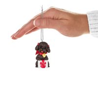 Puppy Love Poodle 2024 Keepsake Ornament - Image 4